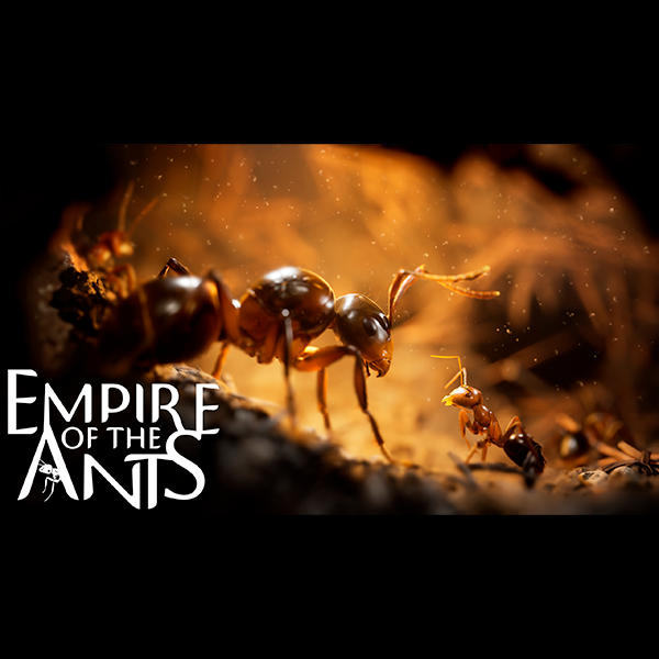 Empire of the Ants